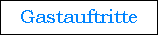 Gastauftritte